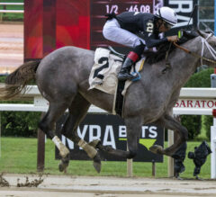 2023 Iroquois Stakes Preview & FREE Picks | Seize The Grey Gives Lukas Shot At Derby Prep Win