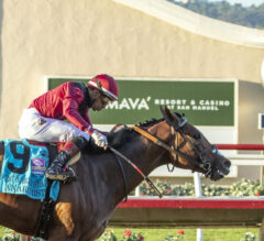 2023 Pat O’Brien Stakes Replay & Analysis | Anarchist Conquers Dirt Mile Prep At Del Mar