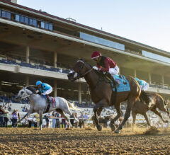 Del Mar FREE Win Picks | August 31, 2024