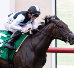 2023 Rodeo Drive Stakes Preview & FREE Picks | Anisette In Elite Form For Filly & Mare Turf Prep