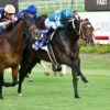 Arlington Stakes Picks and Preview 2025
