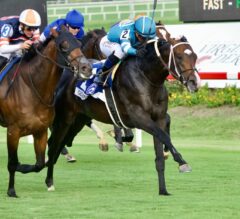 Arlington Stakes Picks and Preview 2025