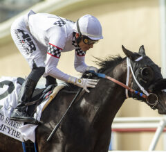2023 Del Mar Debutante Preview & FREE Picks | Dreamfyre Looks To Build Off Of Sorrento Victory