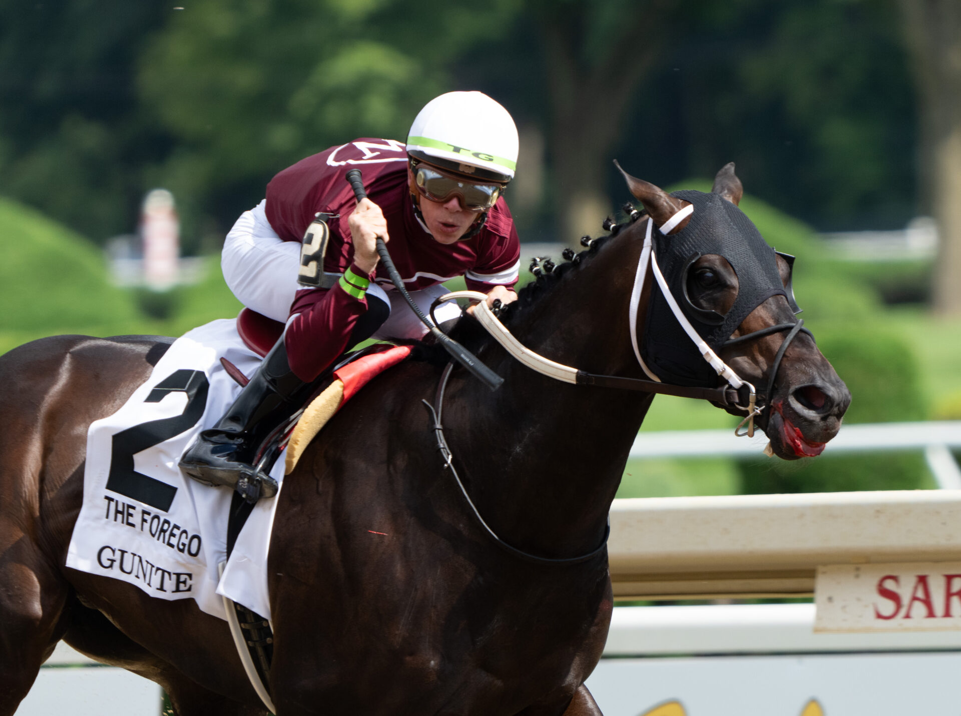 2023 Forego Stakes Replay & Analysis Gunite Defeats Elite Power In