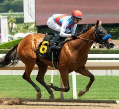 2023 Best Pal Stakes Preview & FREE Picks | Muth Heavy Favorite In Del Mar Futurity Prep
