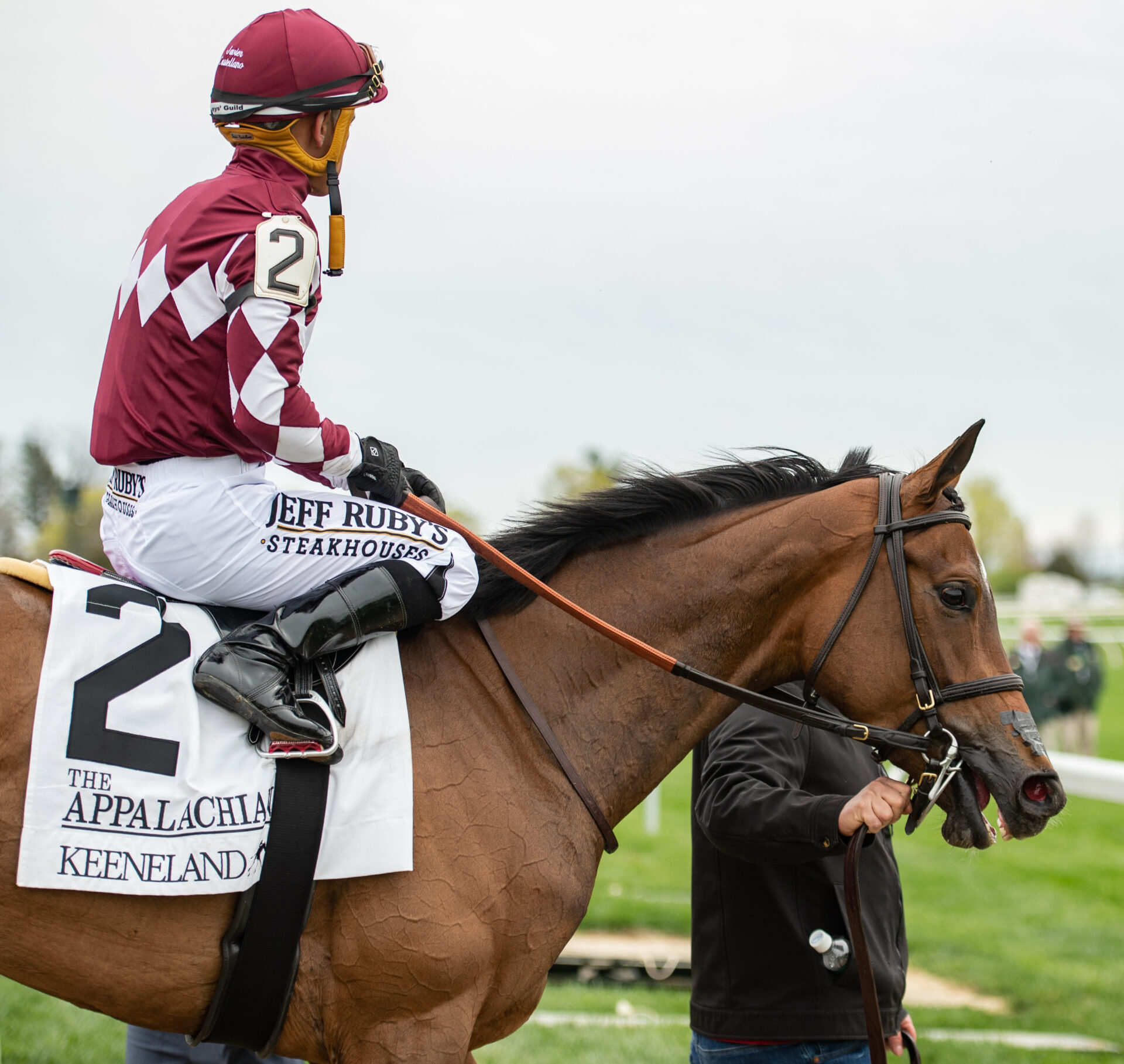 Saratoga Raceway Picks - oi1450x