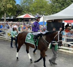 2023 Jerkens Stakes Replay & Analysis | One In Vermillion Wins After New York Thunder Dies At Saratoga