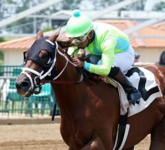 2023 Saratoga Special Stakes Preview & FREE Picks | Rhyme Scheme Favorite In Local Hopeful Prep