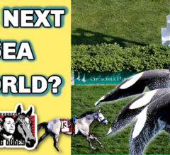 Is Horse Racing Destined To Become The Next SeaWorld?