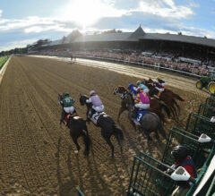 Travers Stakes 2024 Betting Bible | Get Saratoga Picks NOW!