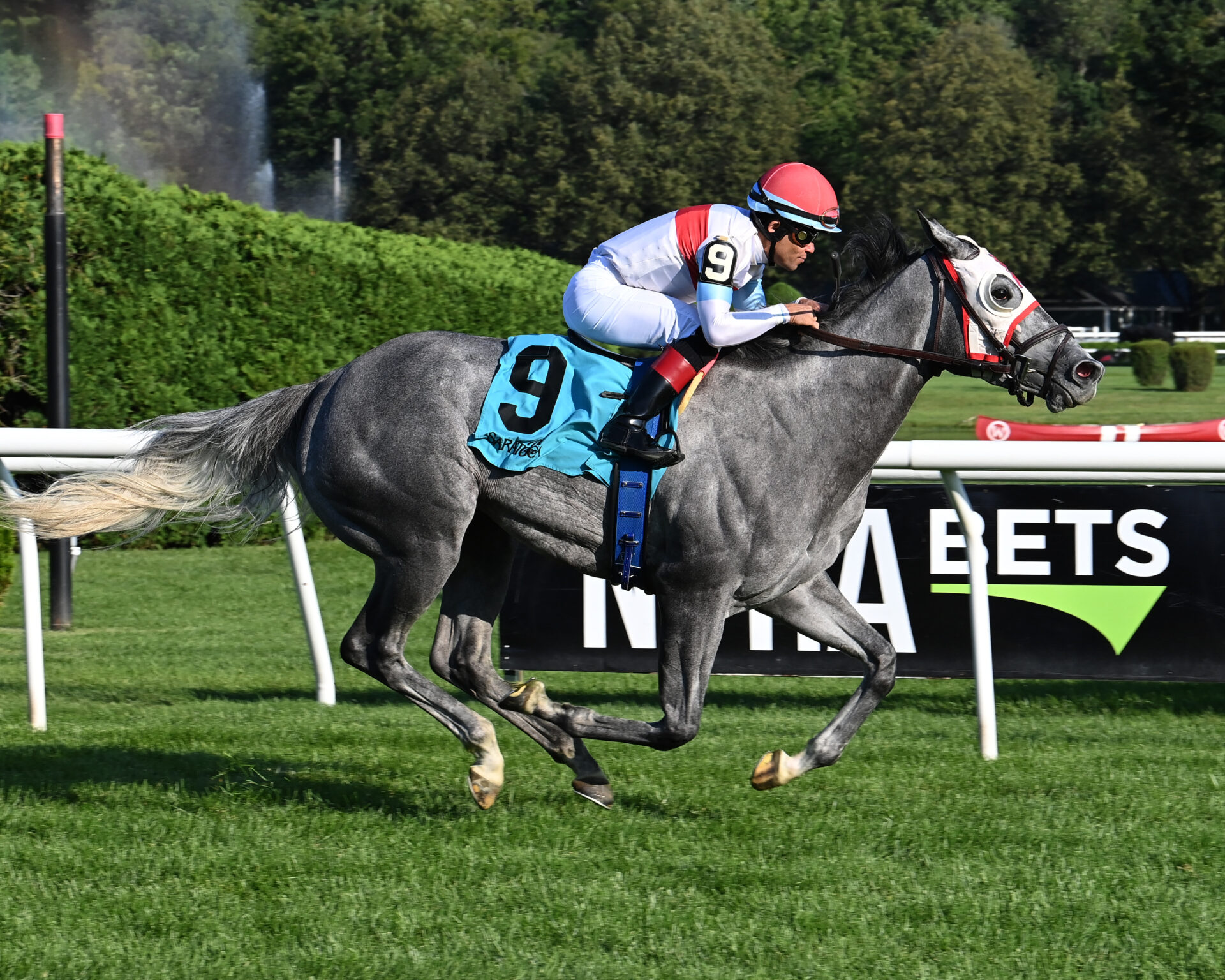 Saratoga Horse Racing Results Today 31 - fzz4gen