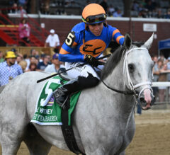 Top 5 Best Horses Right Now By Division 08/07/23: White Abarrio Rises After Whitney Stakes Upset