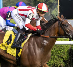 2023 Flower Bowl Stakes Preview & FREE Picks | McKulick Stands Tall In Another Tiny Saratoga Field