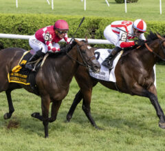 2023 Saratoga Derby Replay & Analysis | Program Trading Digs In Late To Fend Off Webslinger