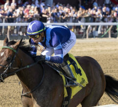 2023 Spinaway Stakes Preview & FREE Picks | Brightwork Back At Saratoga Looking For 4th Straight Win