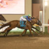 Top 5 Best Horse Racing Finishes | Favorite Moments From The Track