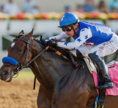 2023 Chillingworth Stakes Preview | Eda Seeks 8th Straight Win In Santa Anita Feature Race