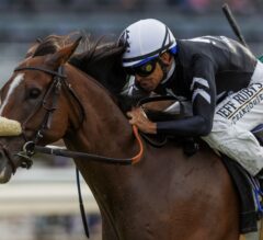 Del Mar Preview | Stormy Liberal Stakes 2023: Lane Way Favored Off Eddie D Win