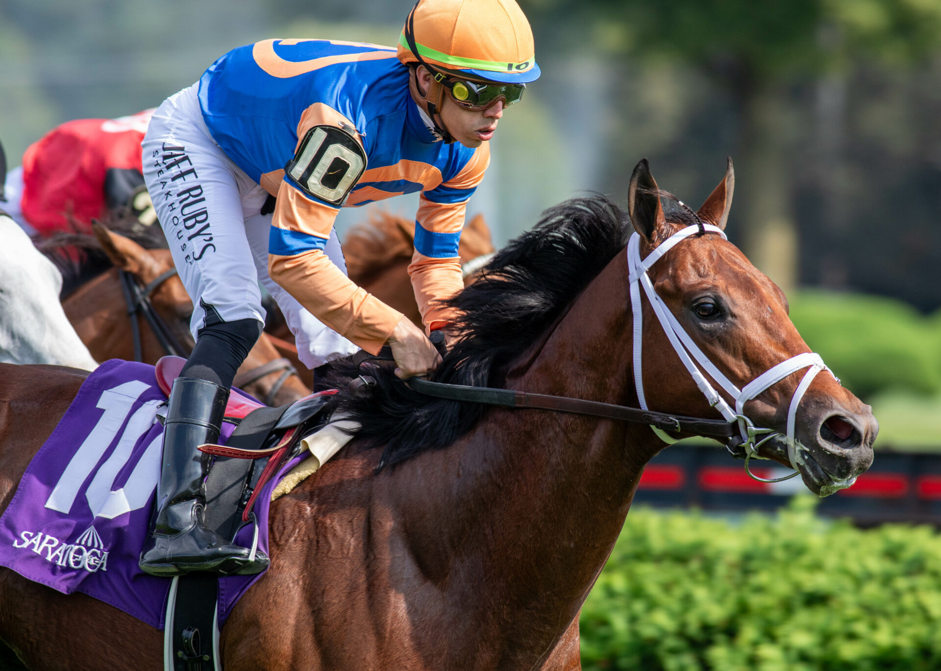 2023 Pilgrim Stakes Preview & FREE Picks Agate Road Steps Up For