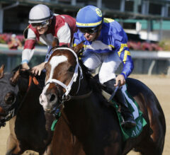 2023 Ack Ack Stakes Replay & Analysis | Zozos Wins Breeders Cup Dirt Mile Prep At Churchill Downs