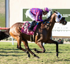 2023 Green Flash Handicap Replay & Analysis | Motorious Gives D’Amato 1st Win In Turf Sprint Prep