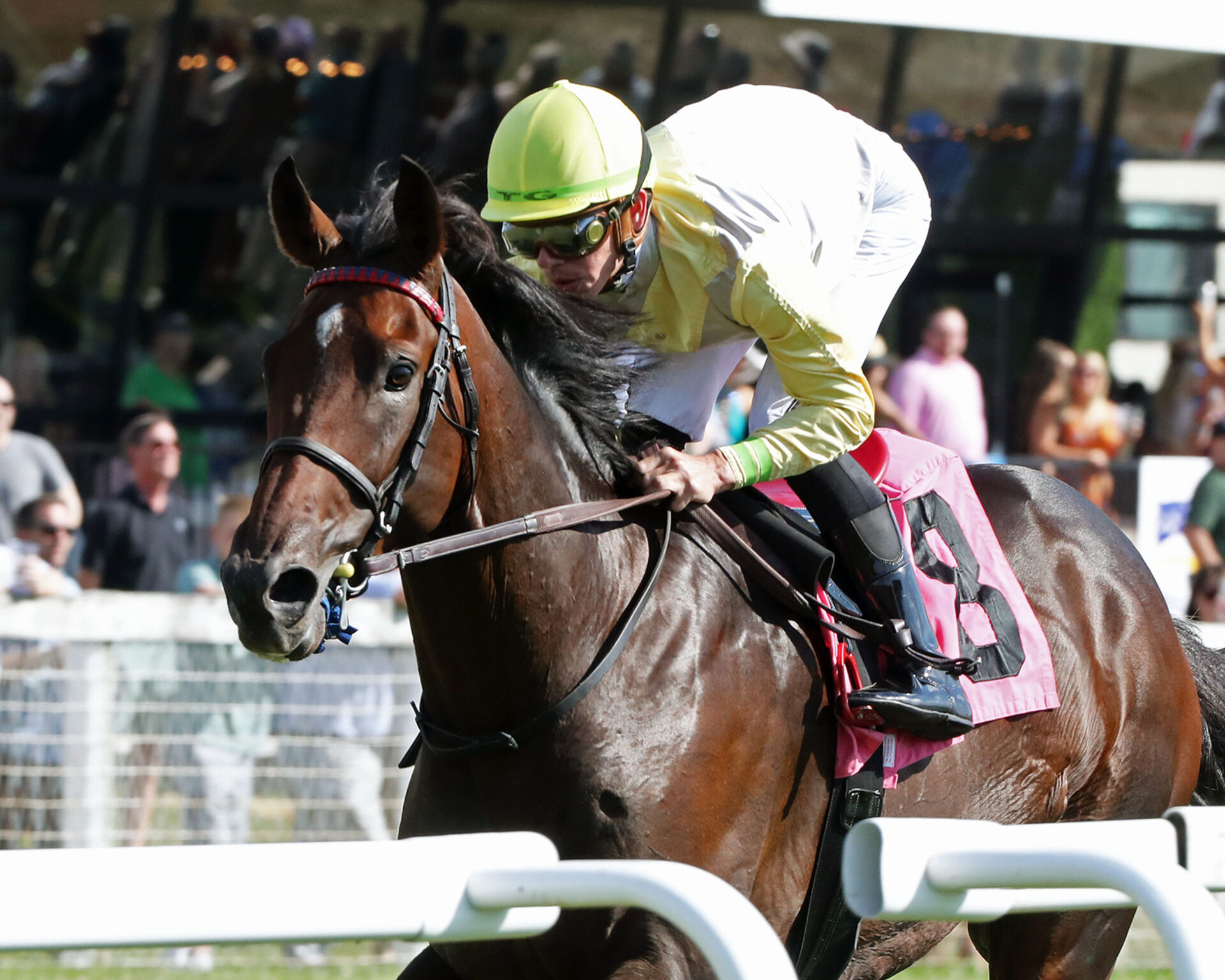 Gulfstream Park Preview H Allen Jerkens Handicap 2023 gulfstream-park-preview-h-allen-jerkens-handicap-2023
