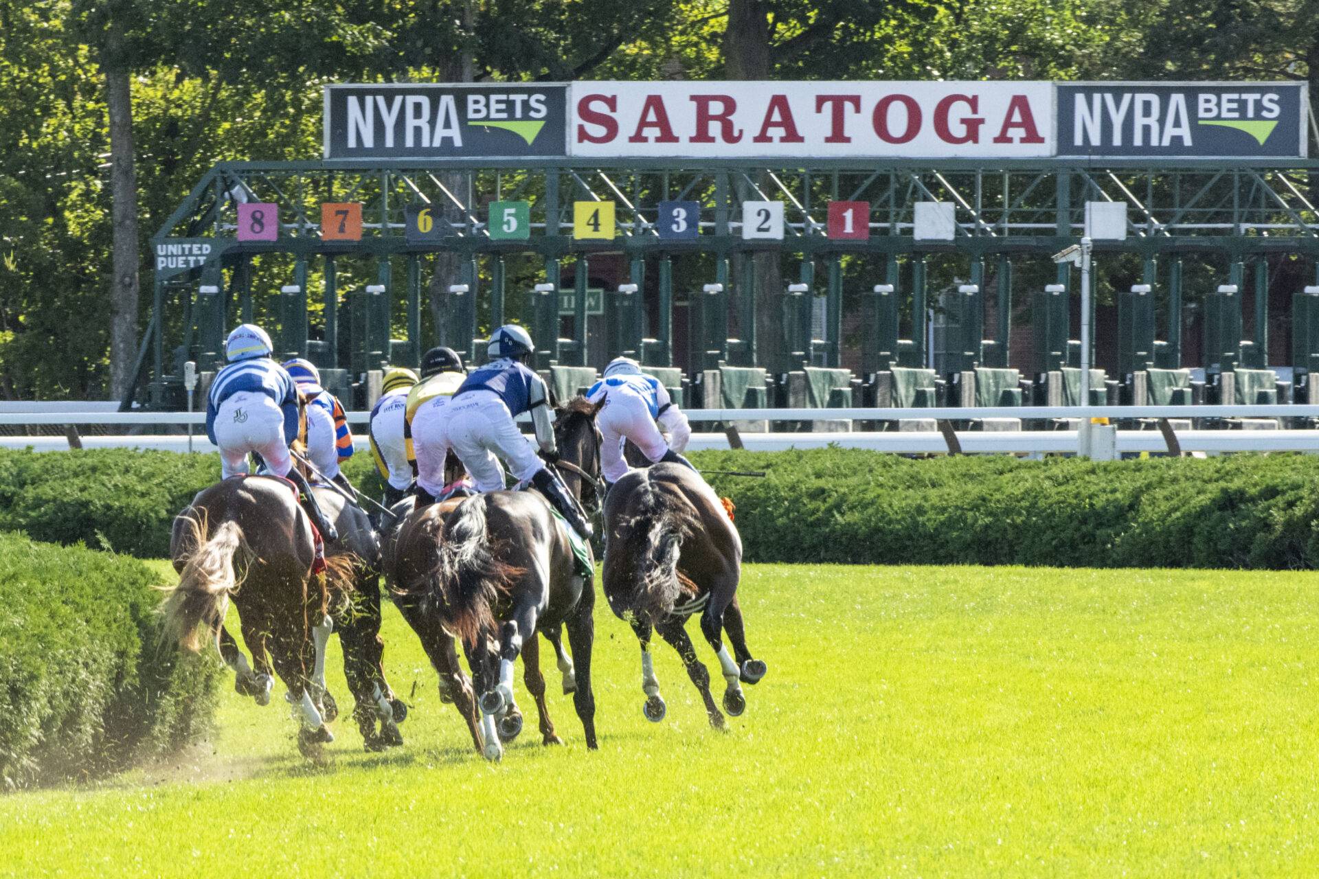 Belmont At Saratoga Picks Manhattan Stakes 2024