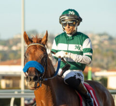 2023 City Of Hope Mile Stakes Preview | Twist, Hong Kong Harry To Battle On Santa Anita Turf