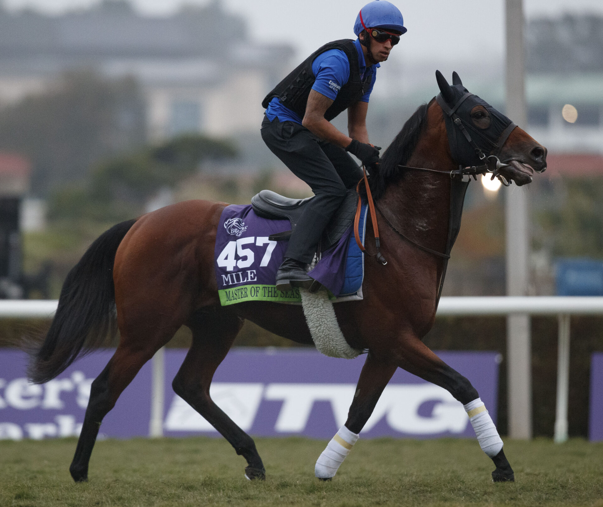 2023 Woodbine Mile Preview & FREE Picks Master Of The Seas Ships For