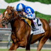 2023 Summer Stakes Replay & Analysis | Carson’s Run Rallies Wide To Win Juvenile Turf Prep