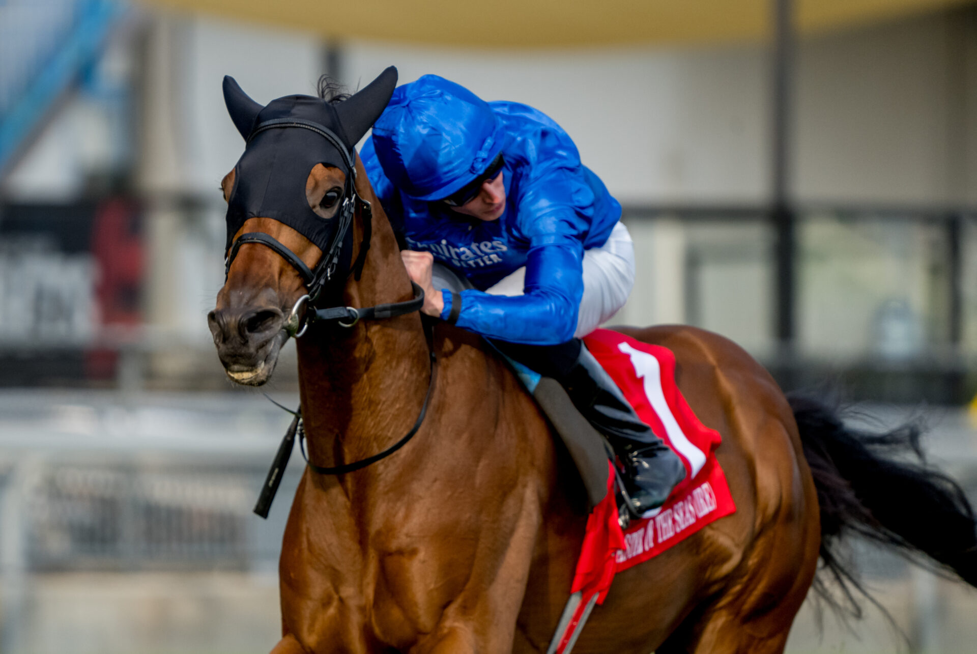 2023 Woodbine Mile Replay & Analysis Master Of The Seas Victorious In