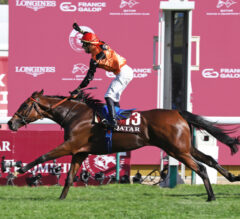 5 Key Tips You Should Know Before Placing a Bet on a Horse Race