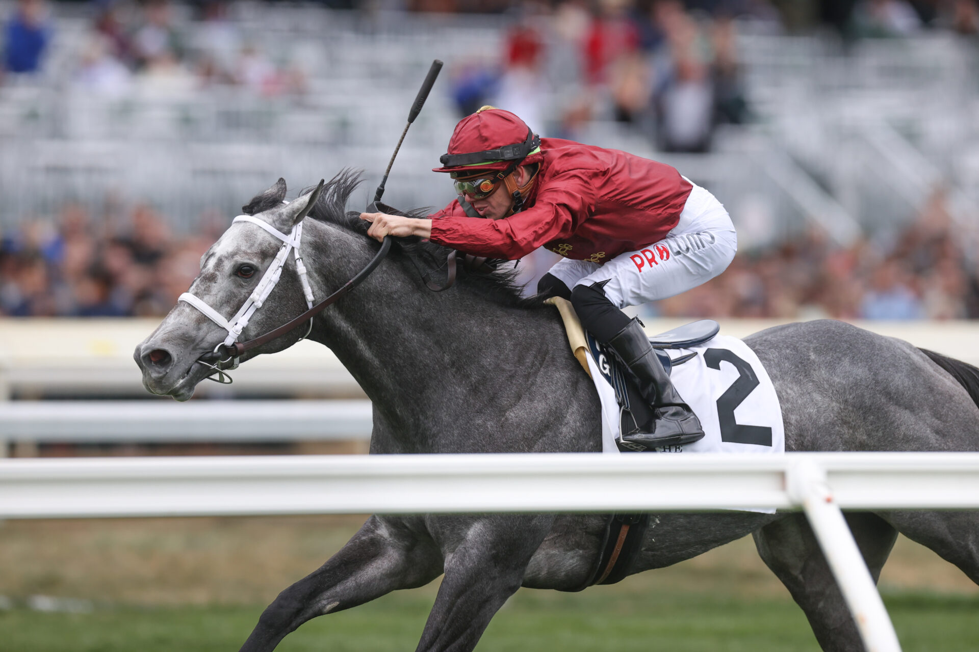 Keeneland Preview & FREE Picks 2023 Franklin Stakes