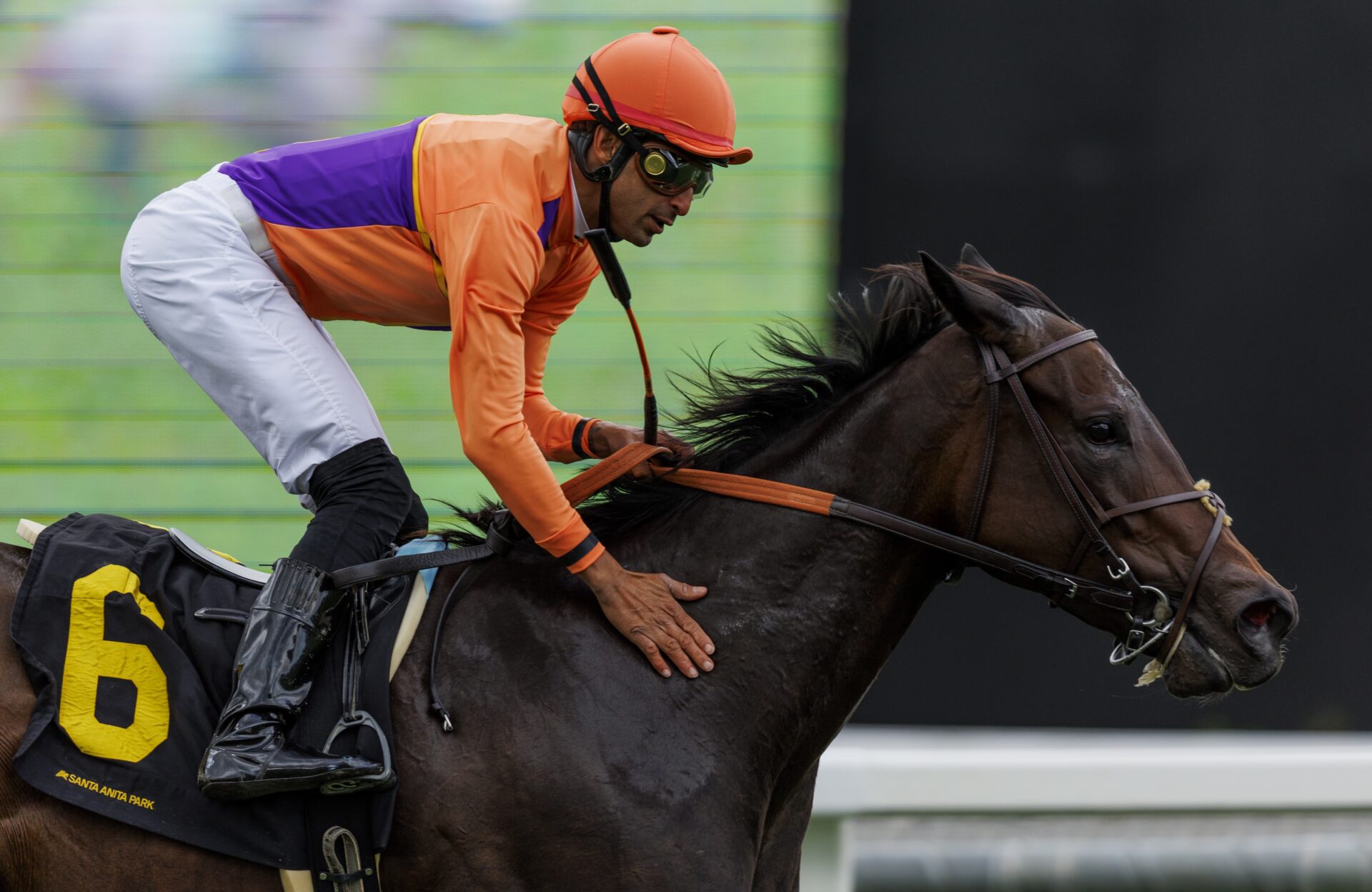 Pegasus World Cup Filly & Mare Turf News | Ruby Nell Update