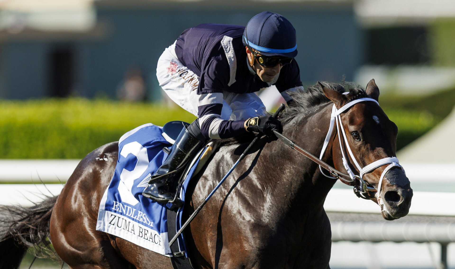 Jeff Ruby Steaks 2024 Turfway Park Picks [Kentucky Derby]