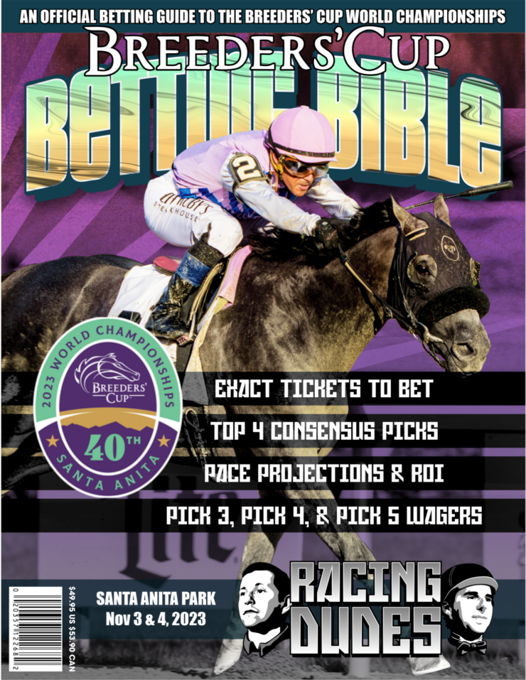Breeders Cup Picks