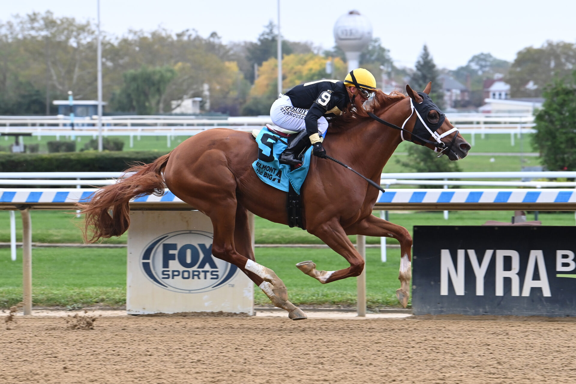 Aqueduct Preview & FREE Picks Jerome Stakes 2024