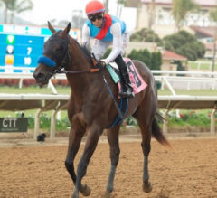 Santa Anita Park Preview | Anoakia Stakes 2023: Dua Looms Large In Feature Event