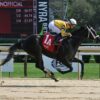 Raven Run Stakes Picks and Preview 2024