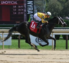 2023 Frizette Stakes Preview & FREE Picks | Just F Y I, Emery Meet In Juvenile Fillies Prep