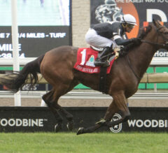 Woodbine Replay | 2023 E.P. Taylor Stakes: Fev Rover Holds Off With The Moonlight, Moira