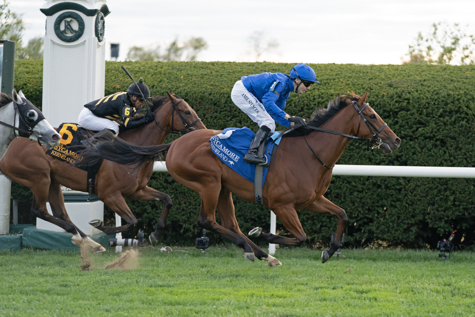 Keeneland Picks Elkhorn Stakes 2024