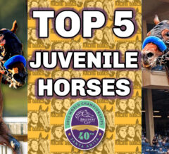 Top 5 Breeders’ Cup Juvenile Contenders: October 15, 2023 | Muth, Prince Of Monaco Best Bafferts