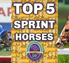 Top 5 Breeders’ Cup Sprint Contenders: October 23, 2023 | Elite Power Tops Tight Division