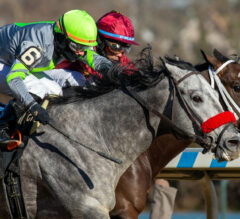Belmont At The Big A Preview | Forty Niner Stakes 2023: Everso Mischievous Tries Graded Company