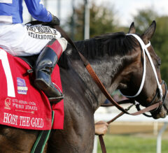 Pegasus World Cup News | Hoist The Gold Stacks Up Well Against Rivals