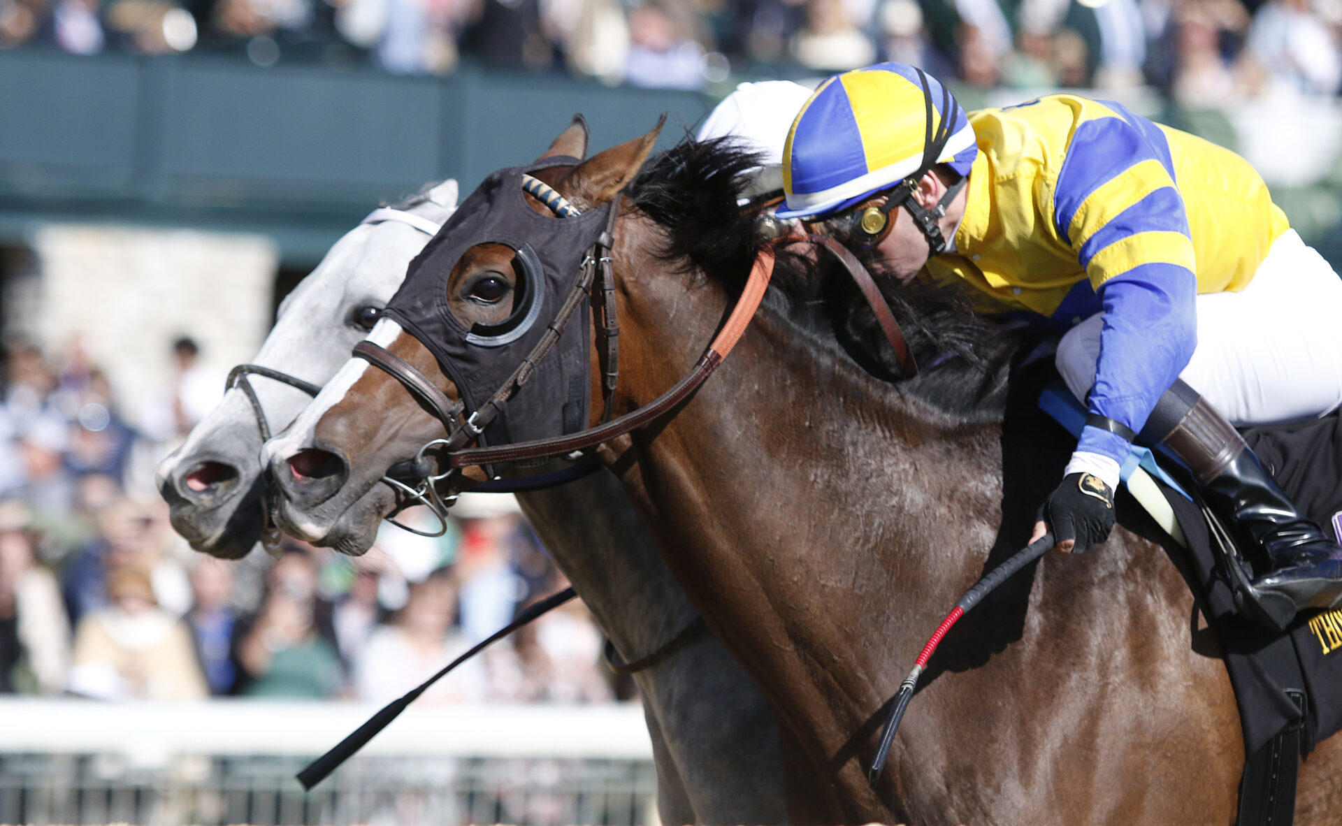Tca Racing 2023 TCA Stakes Replay Analysis | Yuugiri Fights Back To Defeat Wicked ...