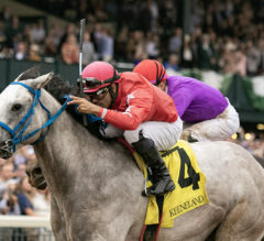 Remington Park Preview & FREE Picks | Springboard Mile Stakes 2023: Glengarry Faces Otto The Conqueror In Kentucky Derby Prep