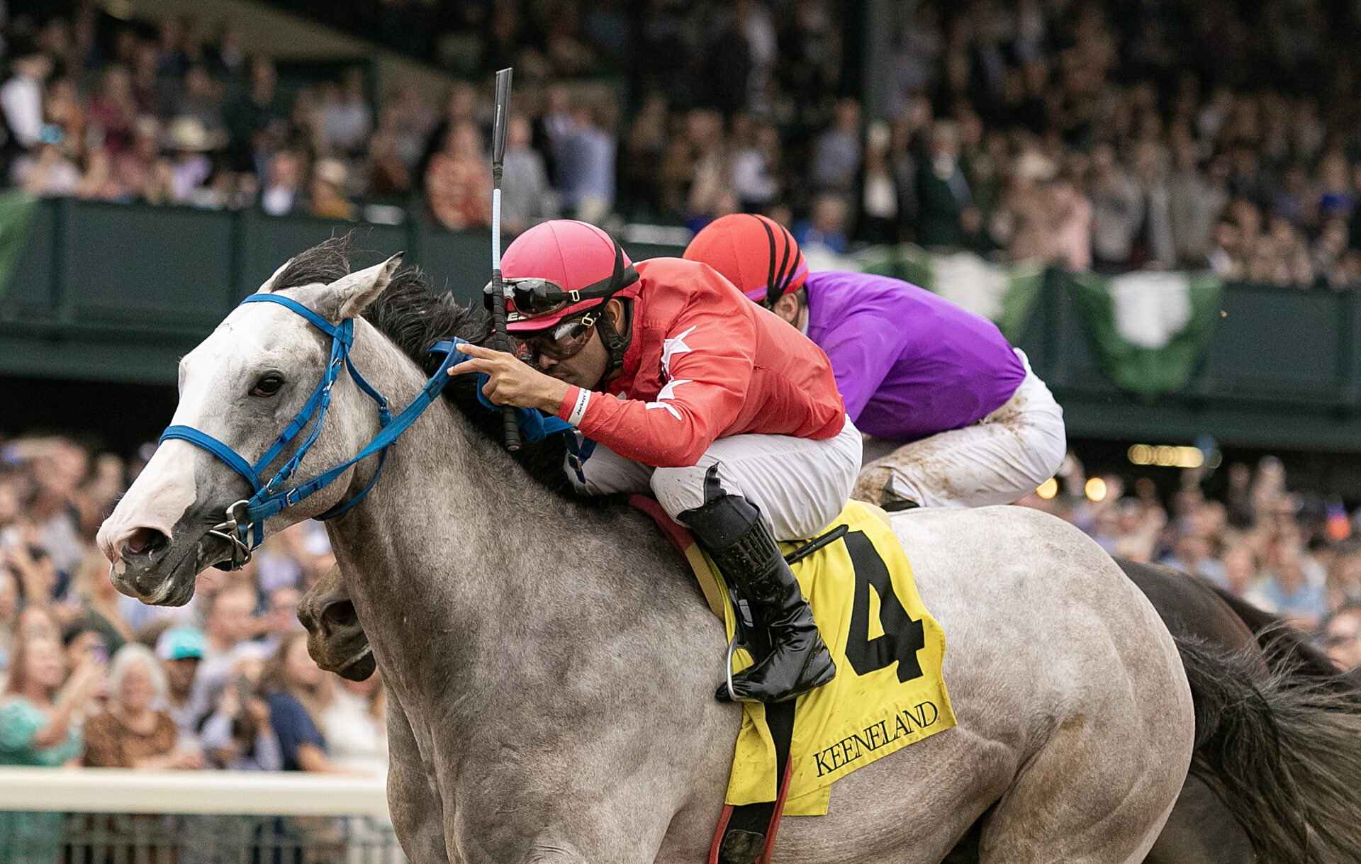 Remington Park Preview & FREE Picks Springboard Mile 2023