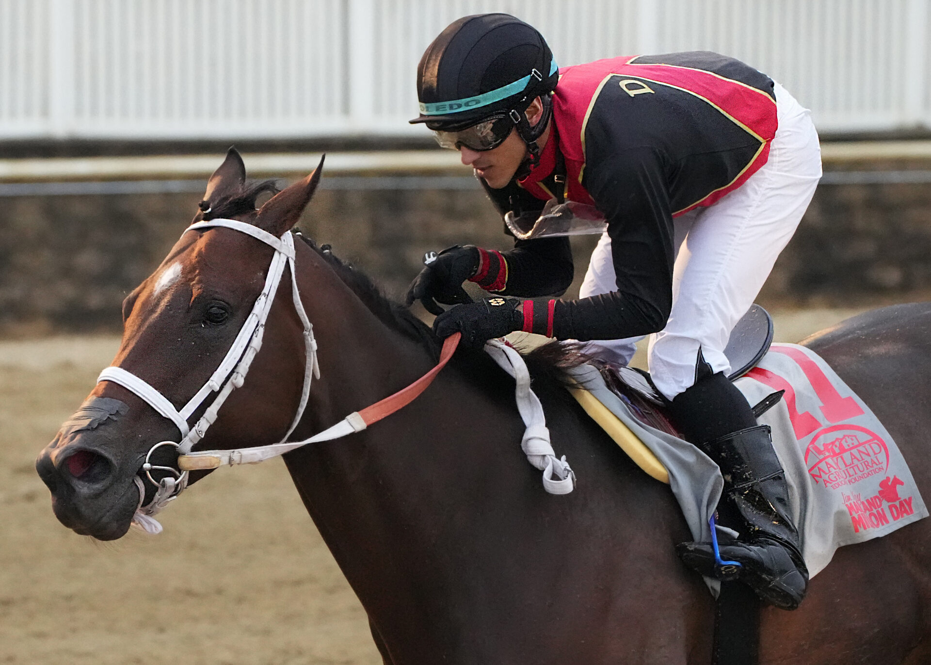 Laurel Park Picks Barbara Fritchie Stakes 2024
